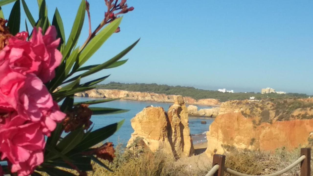 Albur Village B - Dandelion Alvor Bagian luar foto